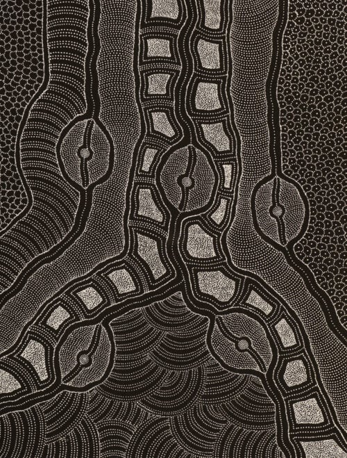 Delvine Petyarre Aboriginal Art