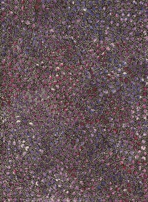 Eileen Bird Kngwarreye Aboriginal Art