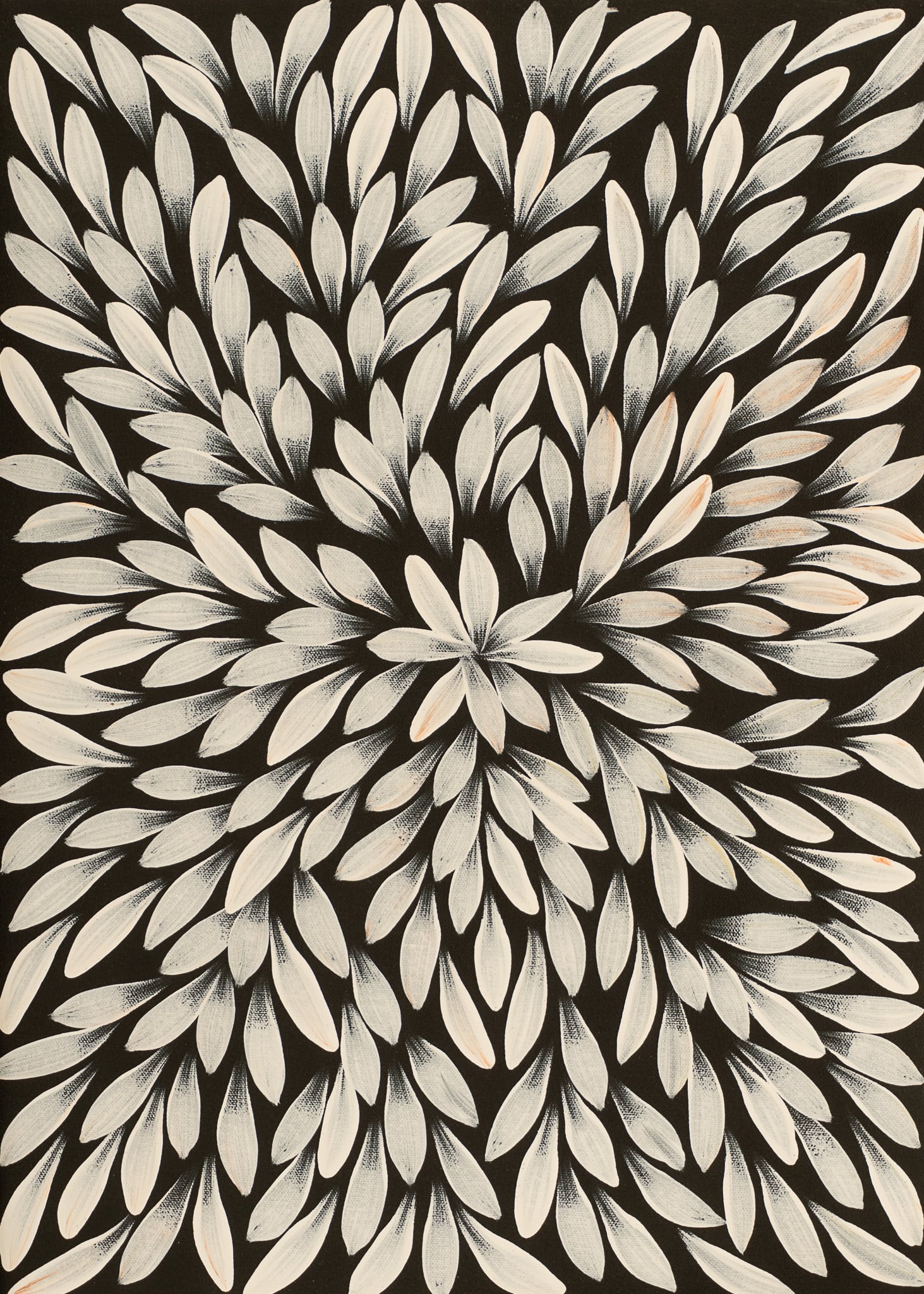 Louise Numina Napananka Aboriginal Art