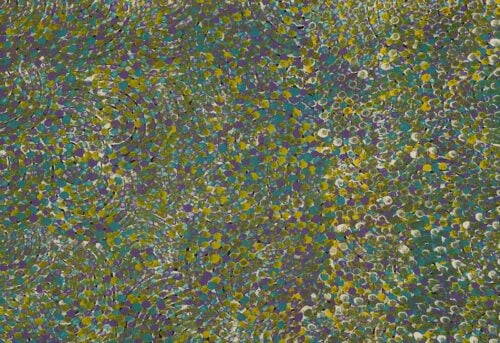 Galya Pwerle Aboriginal Art