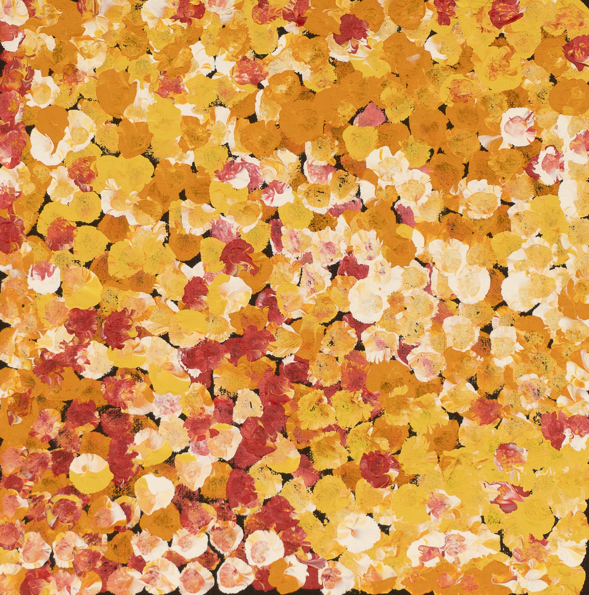 Belinda Golder Kngwarreye Aboriginal Art