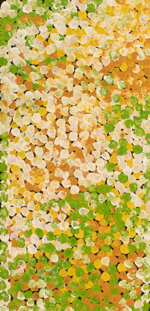 Belinda Golder Kngwarreye Aboriginal Art