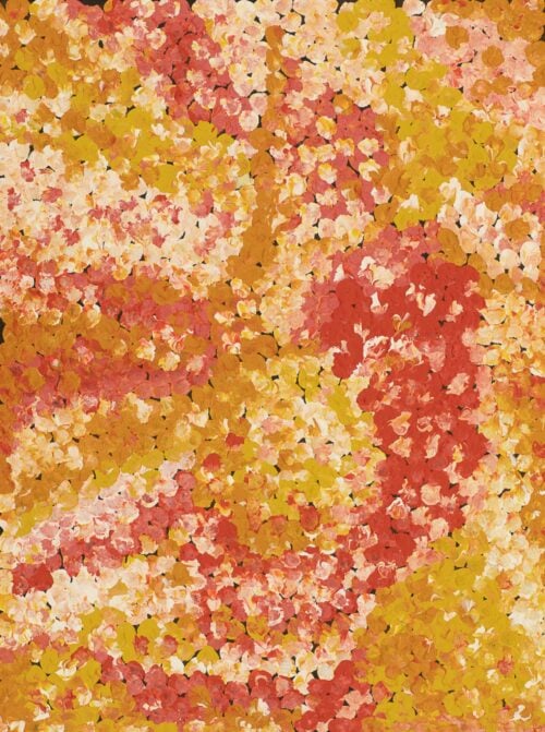Belinda Golder Kngwarreye Aboriginal Art
