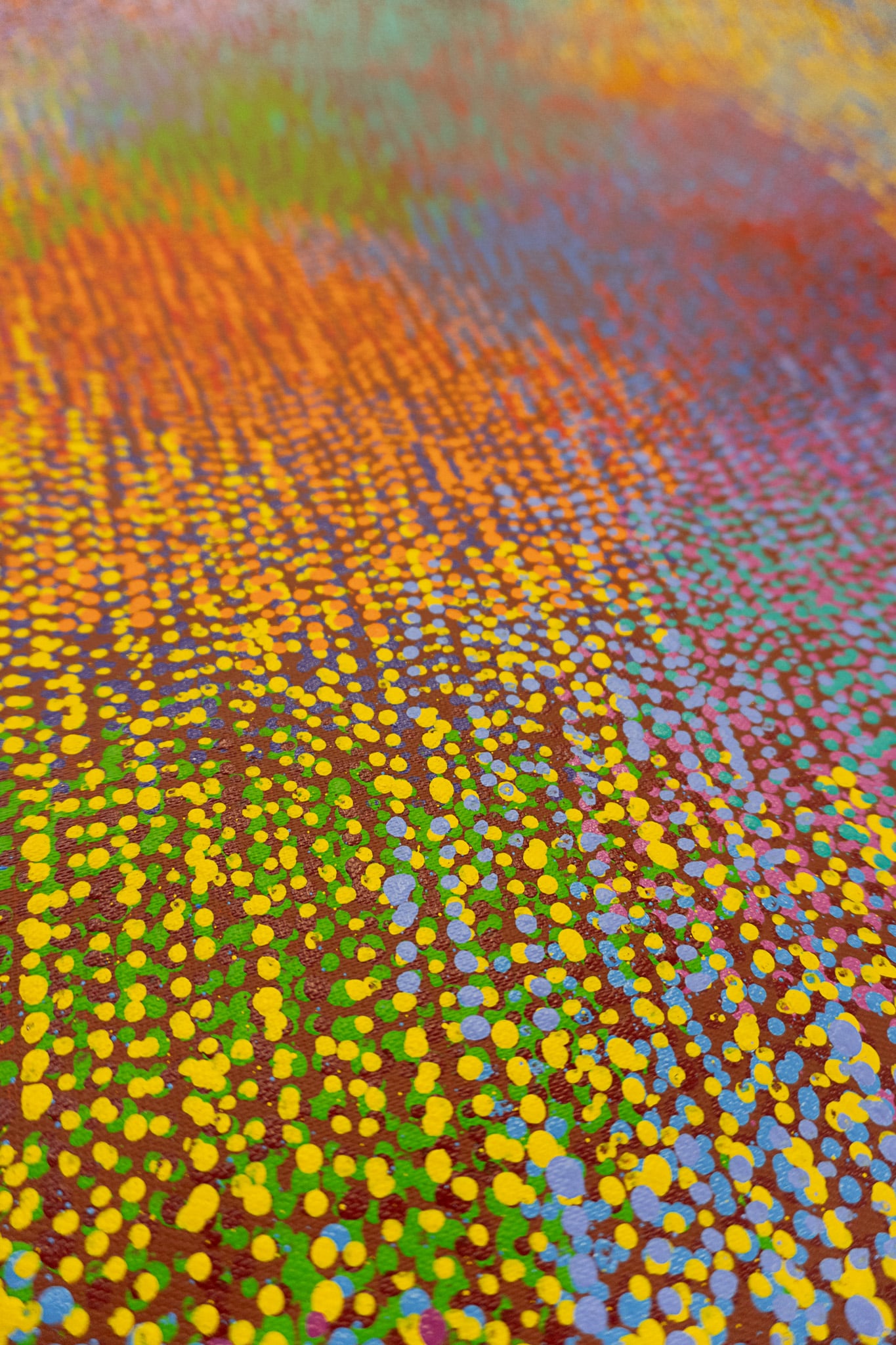 Michelle Cooper Aboriginal Art