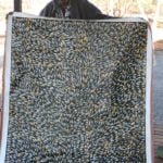 Gloria Petyarre Aboriginal Art