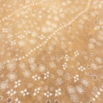 Grace Brown Aboriginal Art