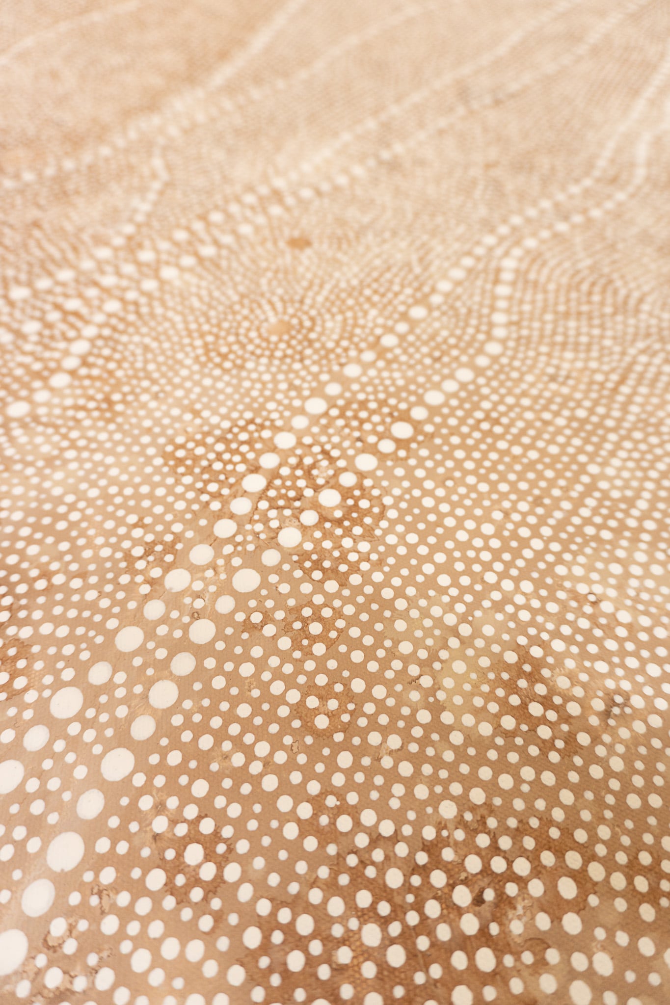 Grace Brown Aboriginal Art