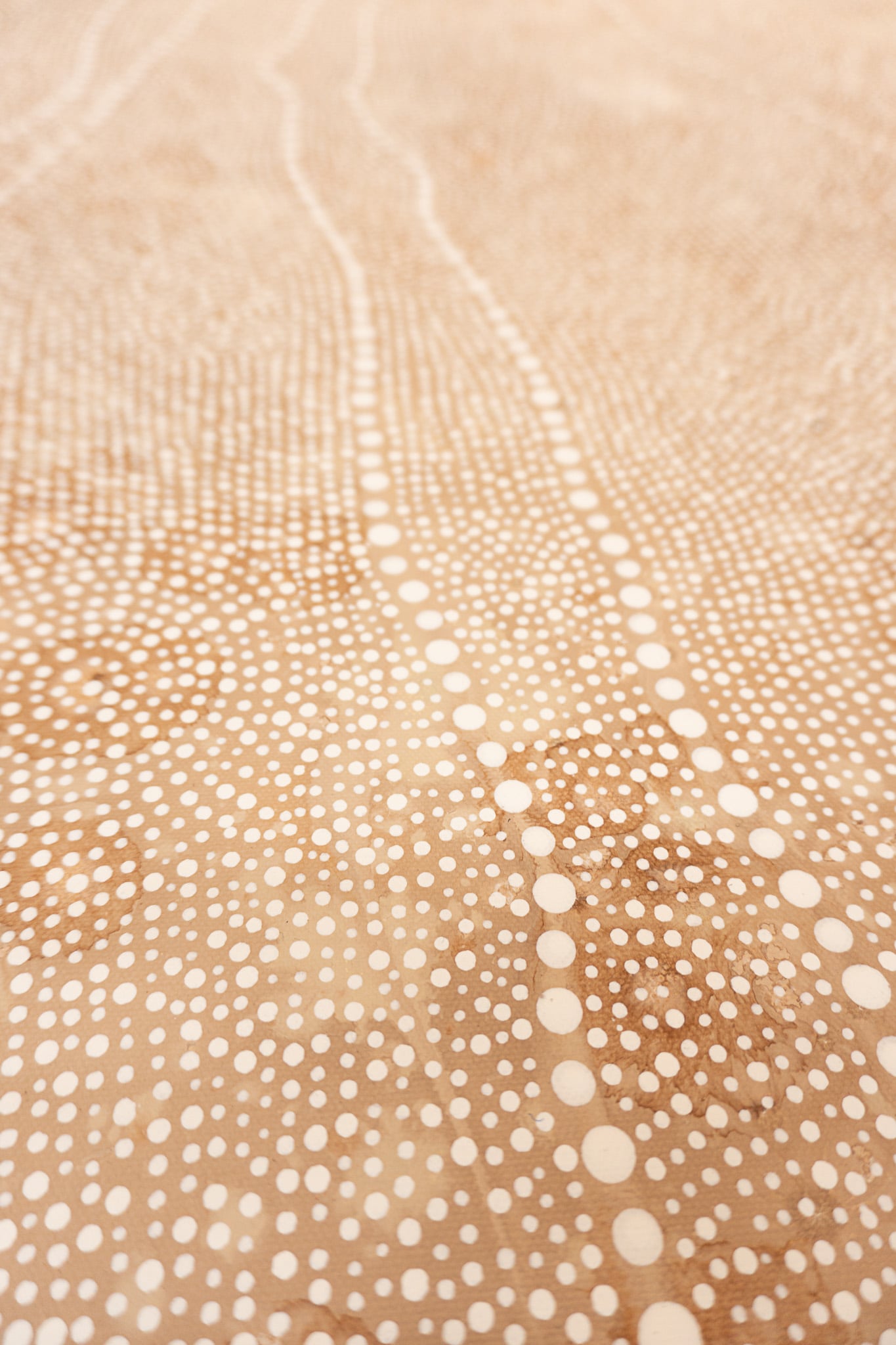 Grace Brown Aboriginal Art