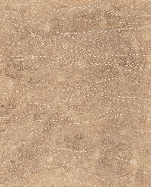 Grace Brown Aboriginal Art