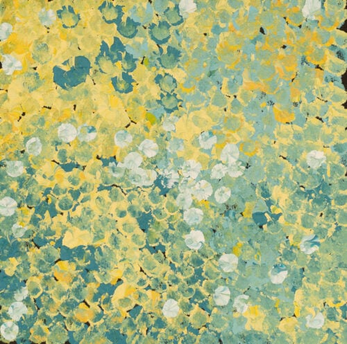 Belinda Golder Kngwarreye Aboriginal Art