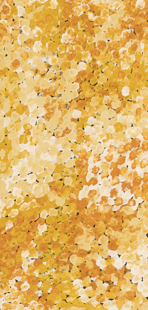 Belinda Golder Kngwarreye Aboriginal Art