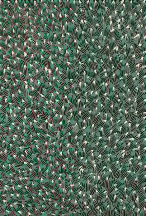 Abie Loy Kemarre Aboriginal Art