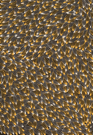 Abie Loy Kemarre Aboriginal Art