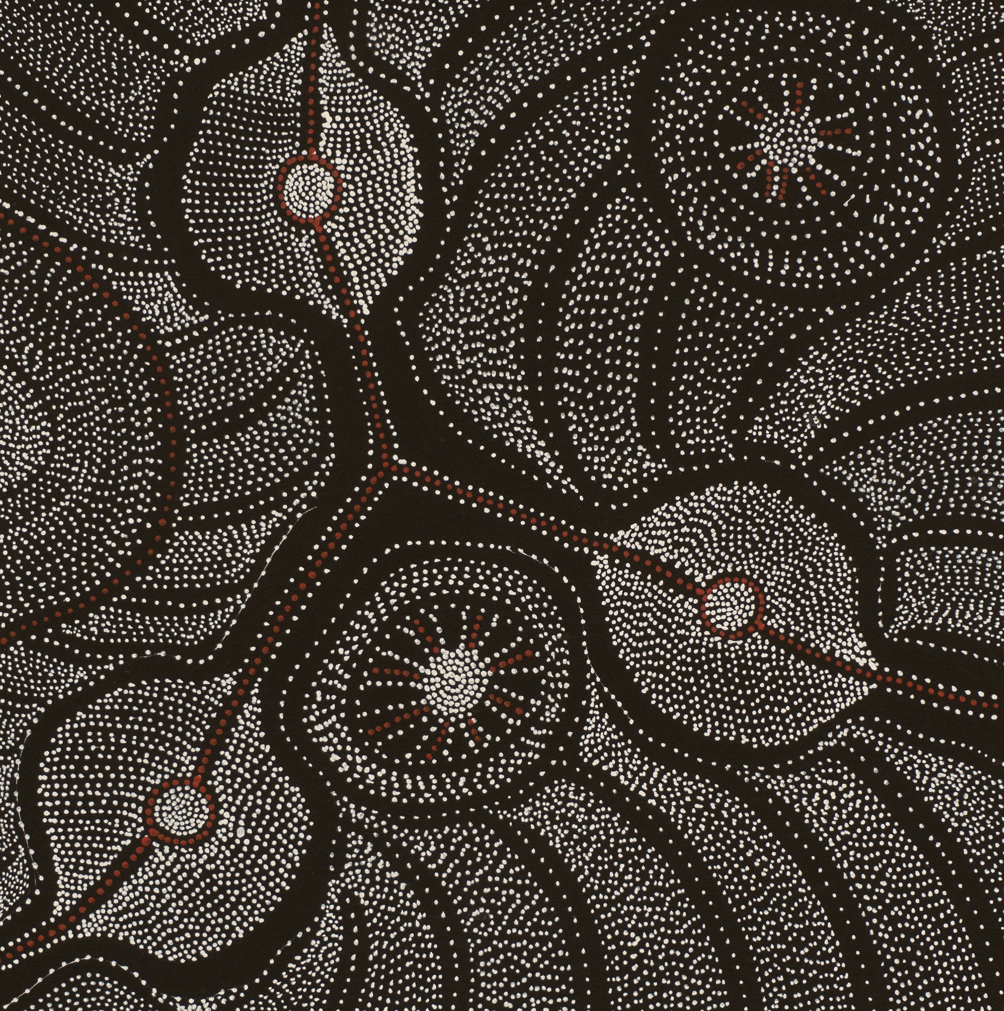 Anna Price Petyarre Aboriginal Art