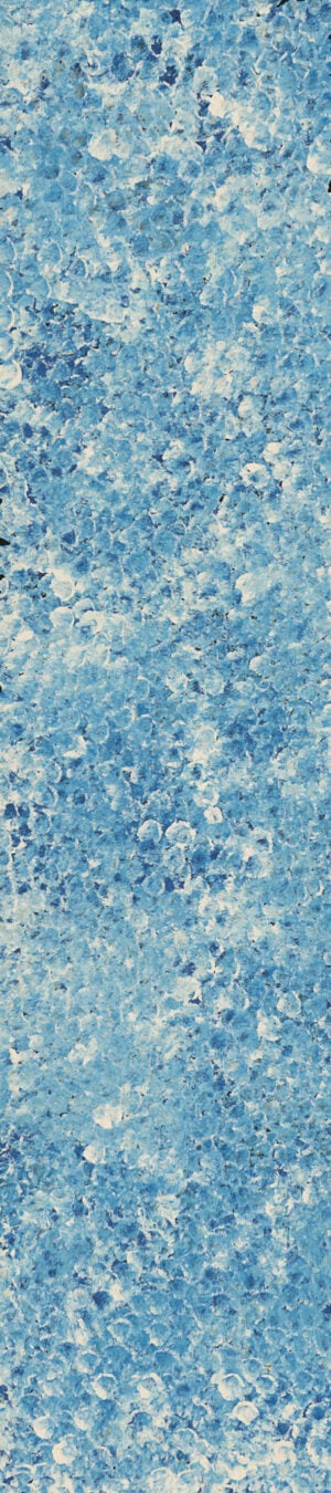 Belinda Golder Kngwarreye Aboriginal Art