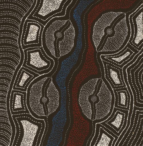 Delvine Petyarre Aboriginal Art