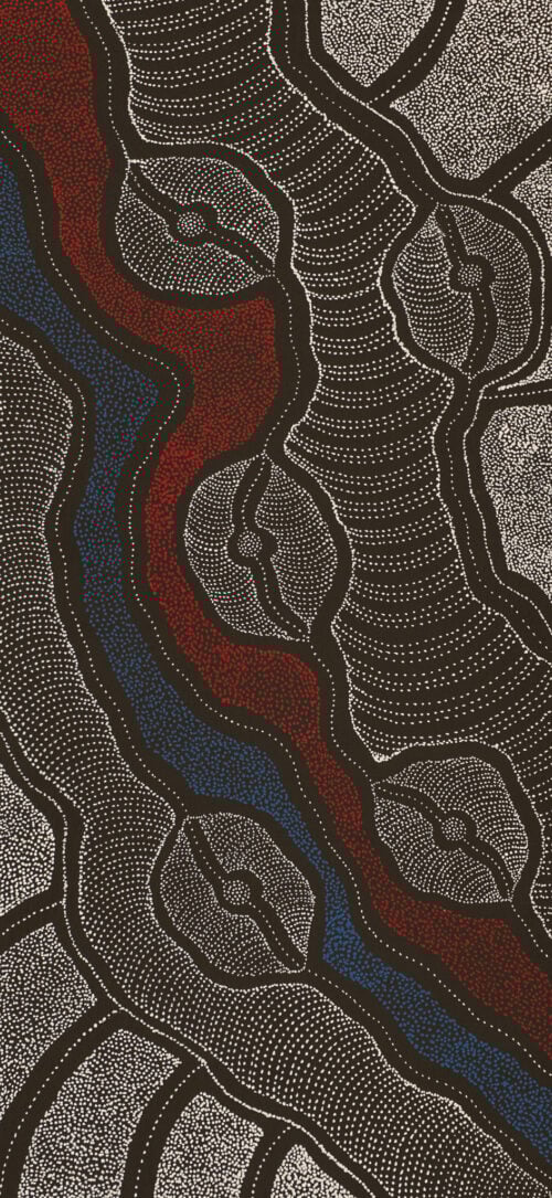 Delvine Petyarre Aboriginal Art