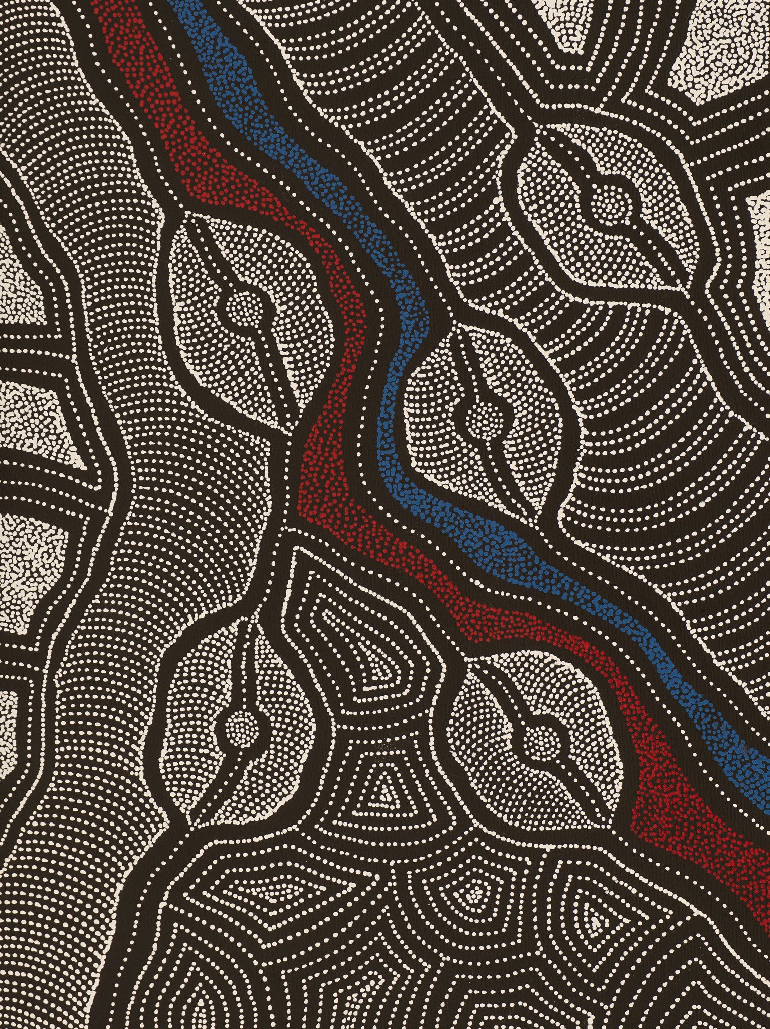 Delvine Petyarre Aboriginal Art