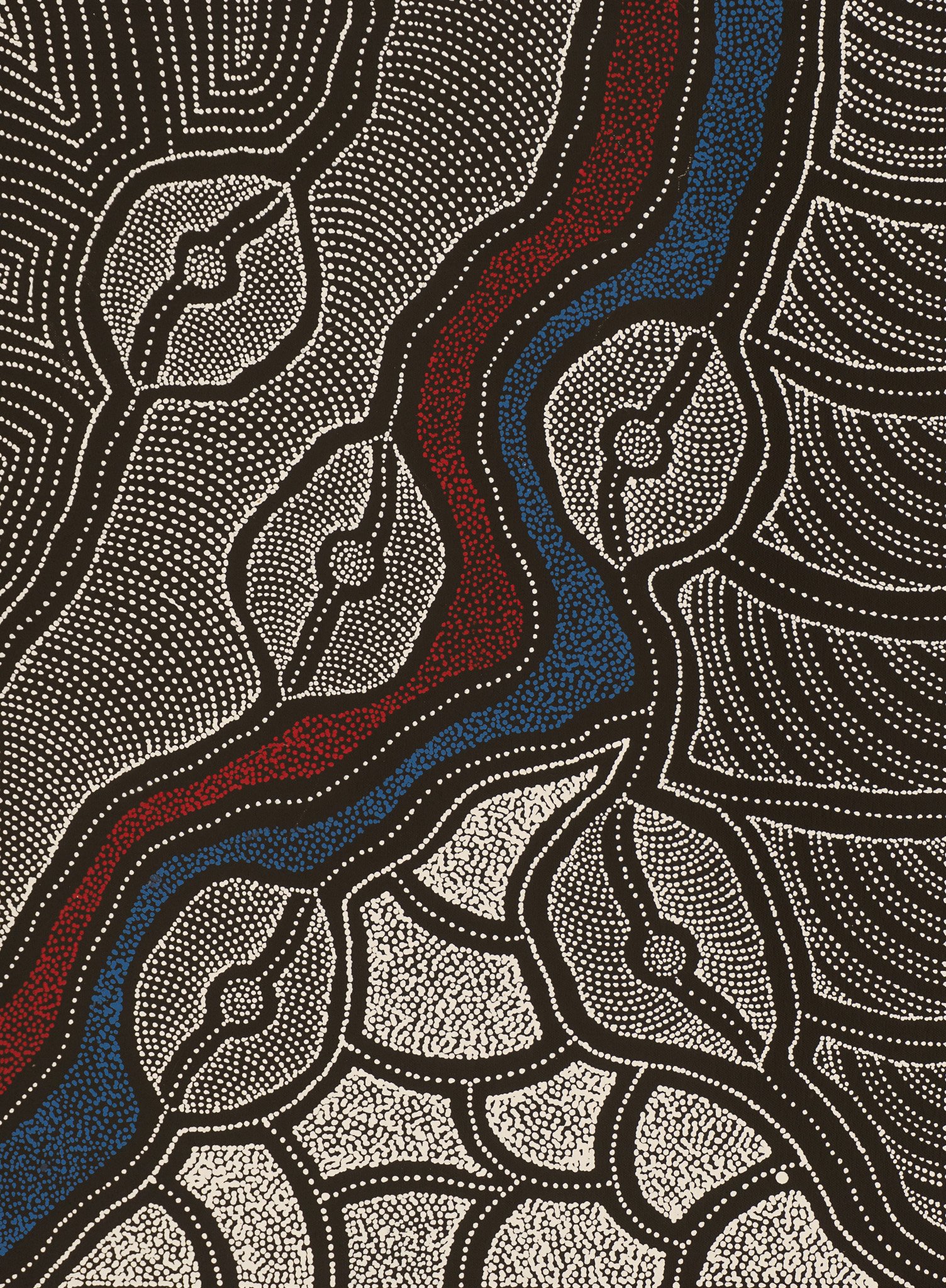 Delvine Petyarre Aboriginal Art