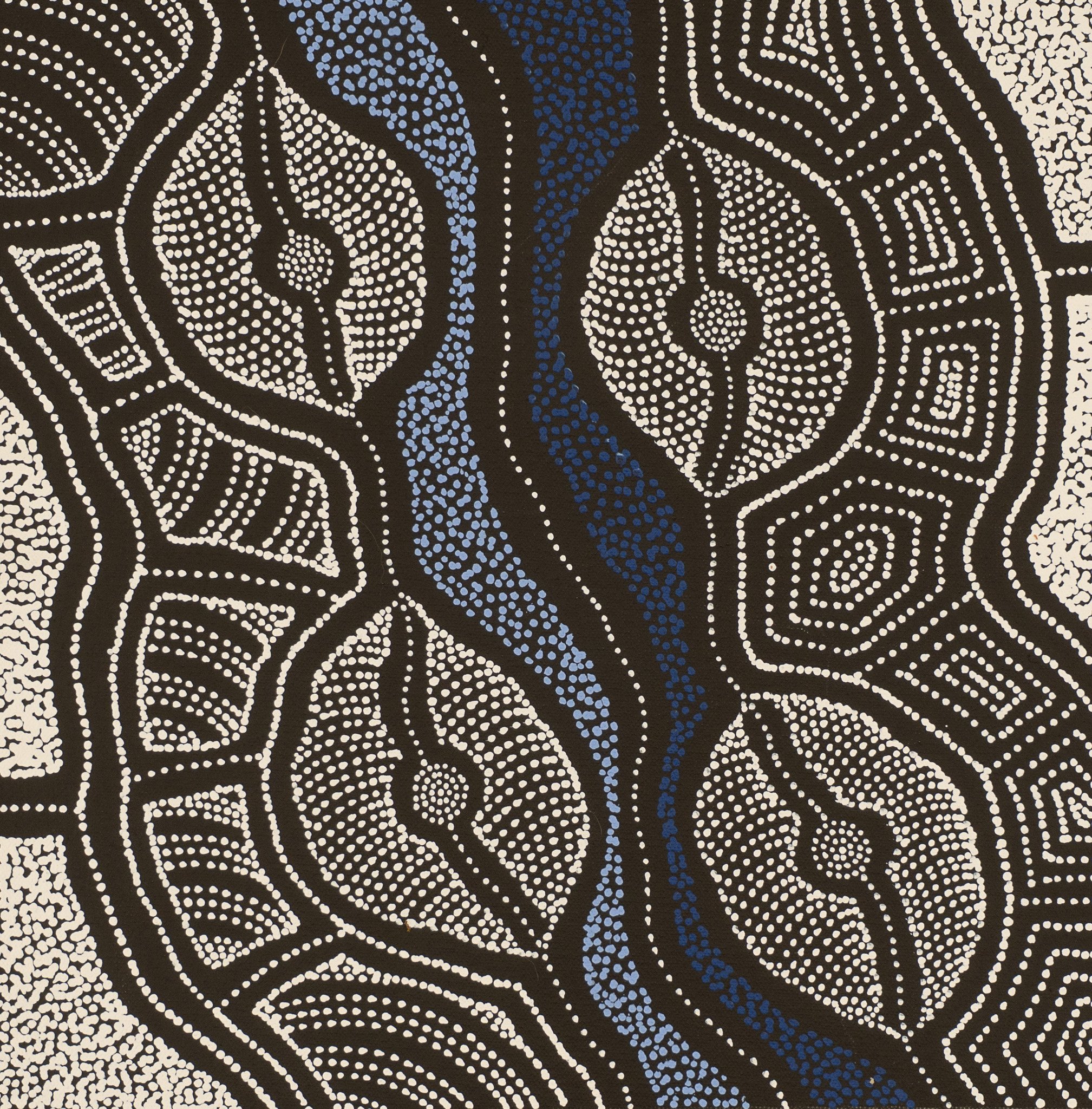 Delvine Petyarre Aboriginal Art