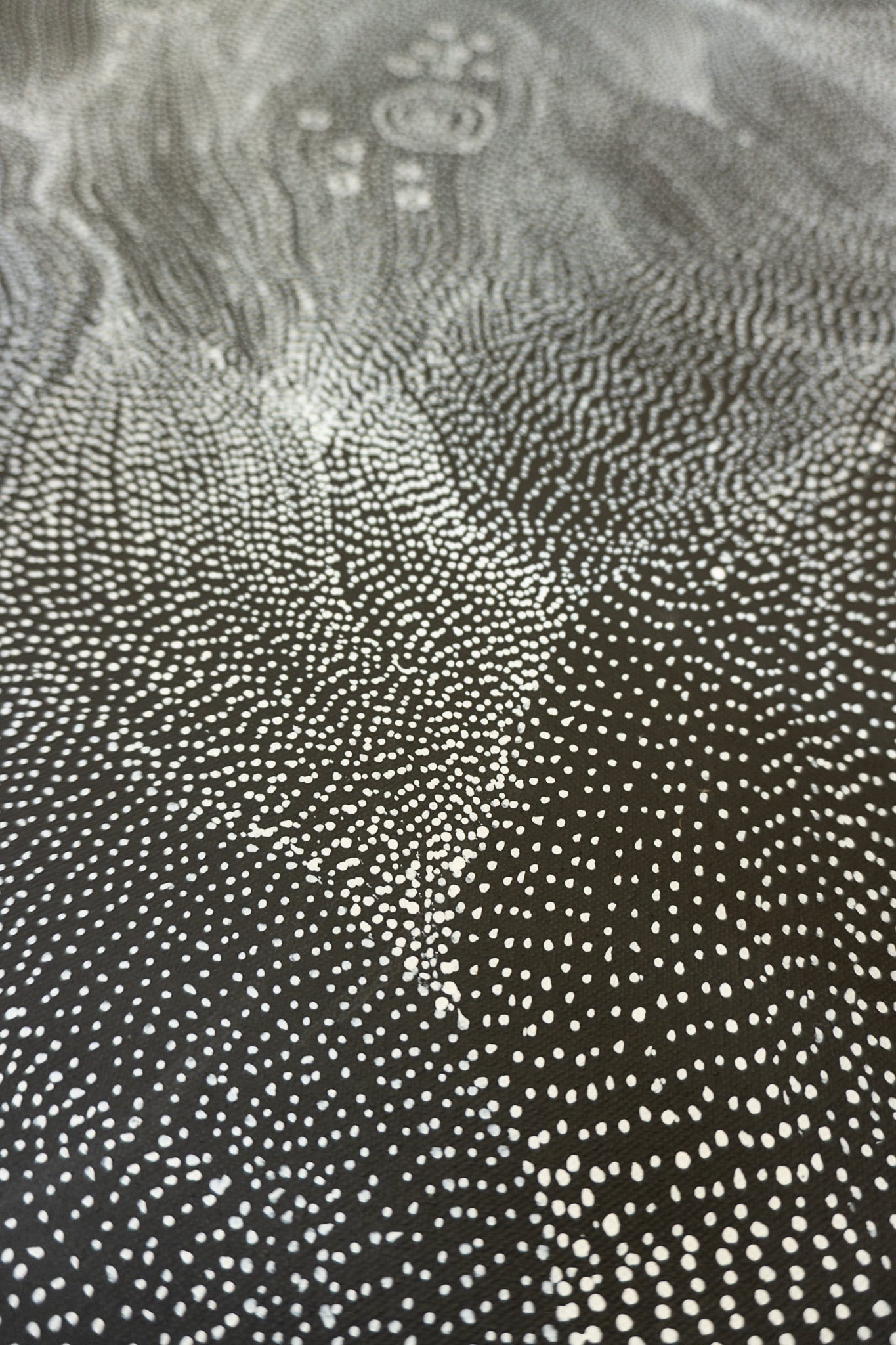 Anna Price Petyarre Aboriginal Art