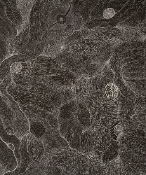 Anna Price Petyarre Aboriginal Art