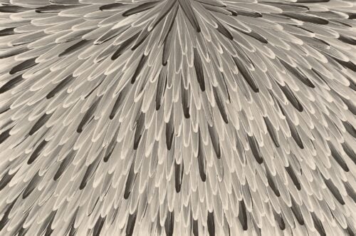 Raymond Walters Penangke Aboriginal Art