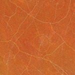 Sarrita King Aboriginal Art