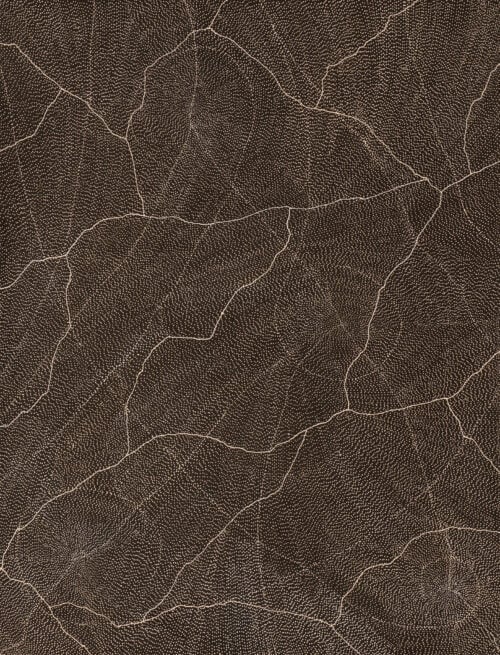 Sarrita King Aboriginal Art