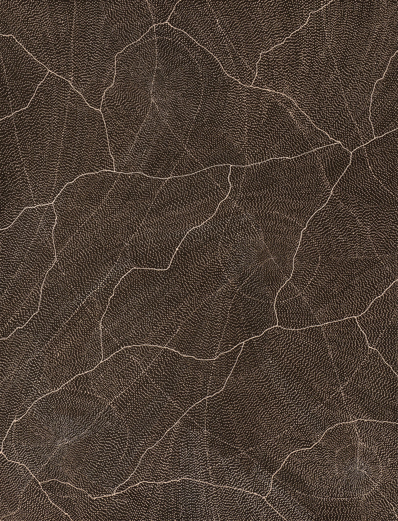 Sarrita King Aboriginal Art