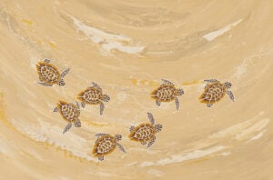 Anthony Walker Aboriginal Art