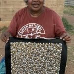 Abie Loy Kemarre Aboriginal Art