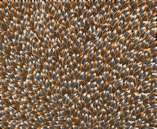 Abie Loy Kemarre Aboriginal Art