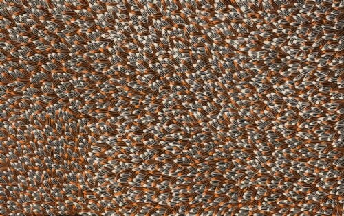 Abie Loy Kemarre Aboriginal Art