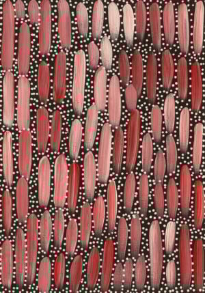 Louise Numina Napanangka Aboriginal Art