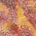 Tanya Bird Mpetyane Aboriginal Art