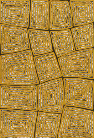 Thomas Tjapaltjarri Aboriginal Art