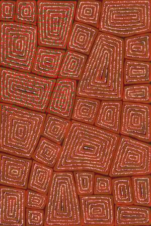 Thomas Tjapaltjarri Aboriginal Art