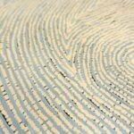 Warlimpirrnga Tjapaltjarri Aboriginal Art