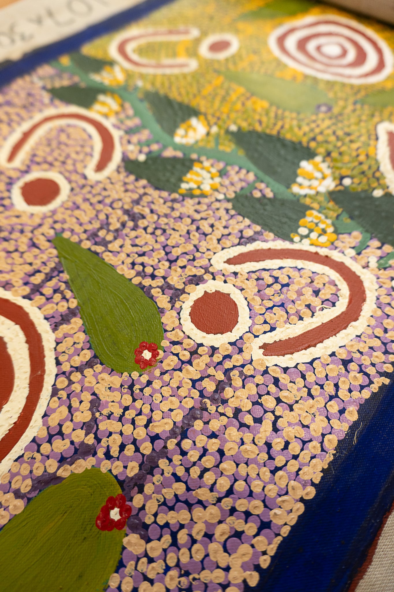 Charlene Napanangka Marshall Aboriginal Art