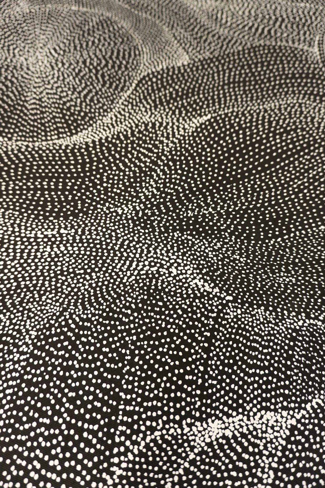 Anna Price Petyarre Aboriginal Art