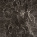 Anna Price Petyarre Aboriginal Art