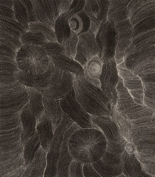 Anna Price Petyarre Aboriginal Art