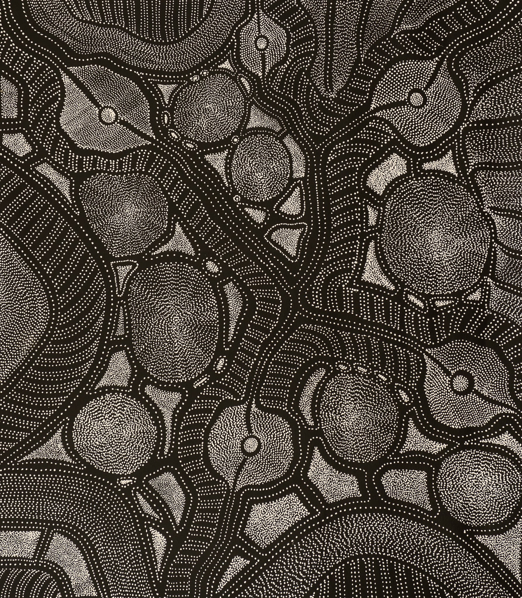 Anna Price Petyarre Aboriginal Art