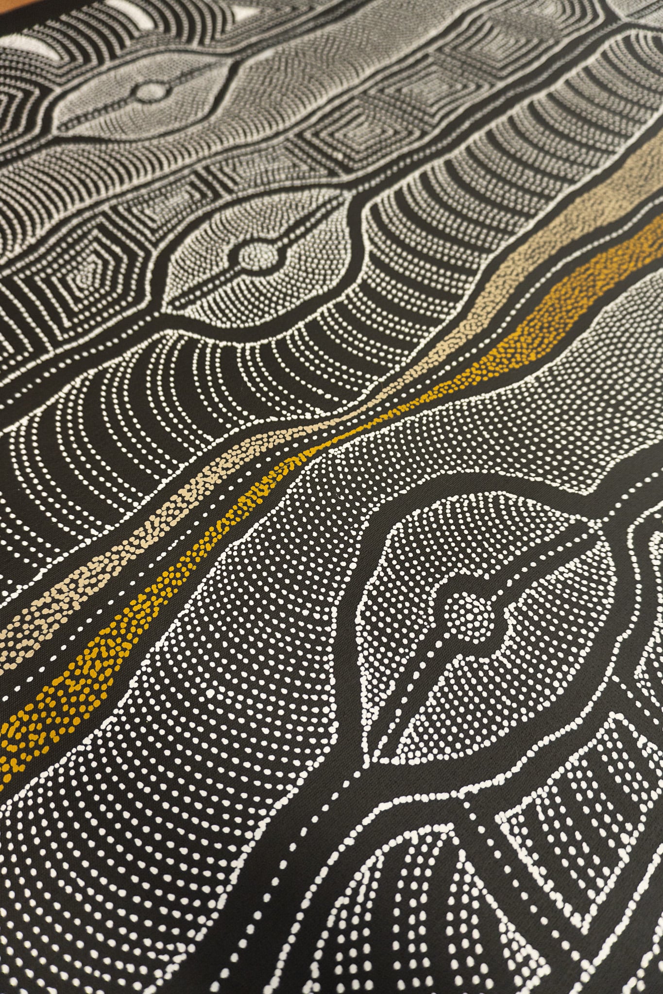 Delvine Petyarre Aboriginal Art
