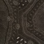 Delvine Petyarre Aboriginal Art