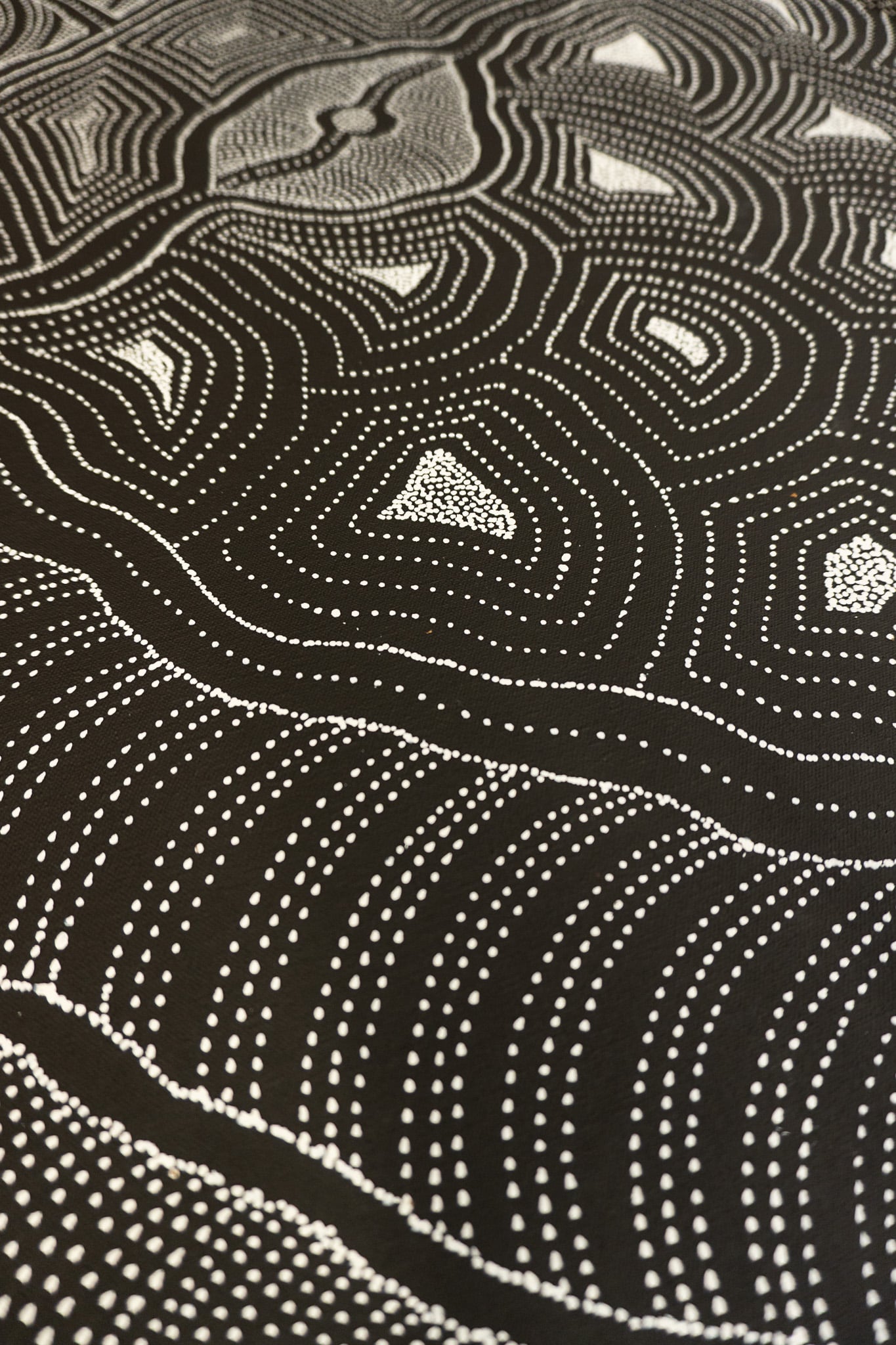Delvine Petyarre Aboriginal Art