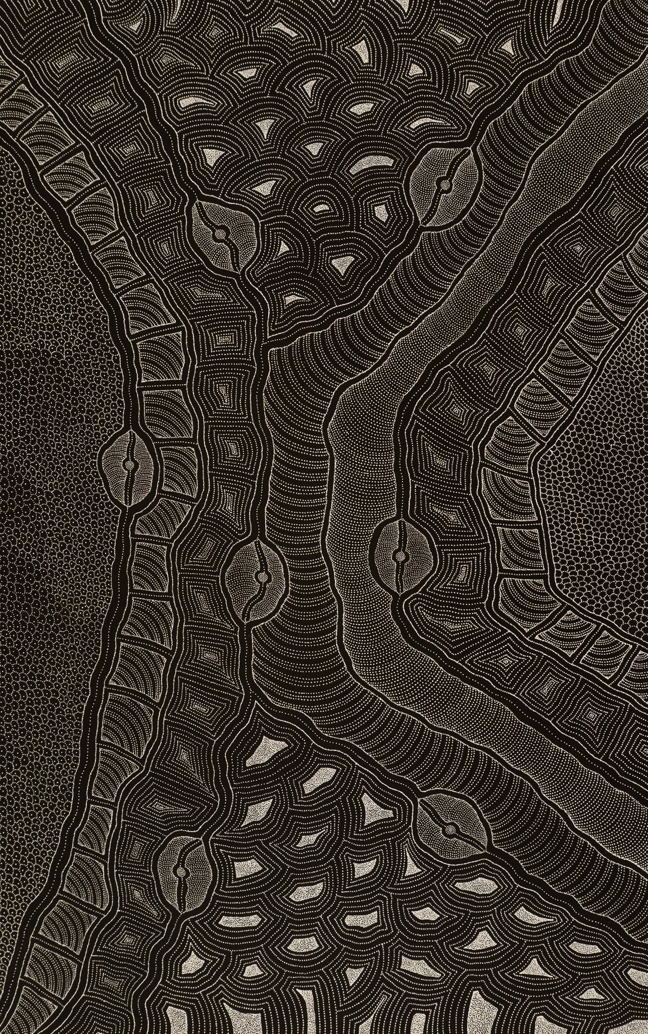 Delvine Petyarre Aboriginal Art