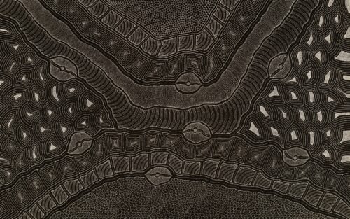 Delvine Petyarre Aboriginal Art