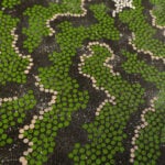Michelle Possum Nungurrayi Aboriginal Art